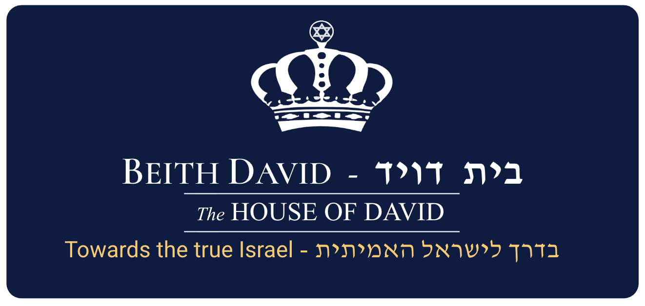 Beith David